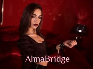 AlmaBridge