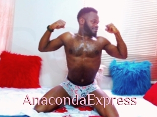 AnacondaExpress