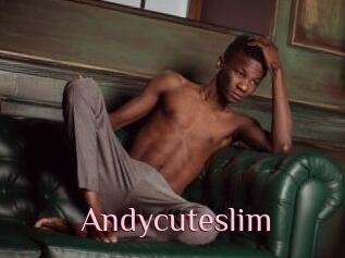 Andycuteslim