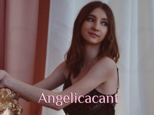 Angelicacant