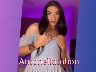 Antonellatobon