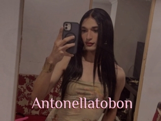 Antonellatobon