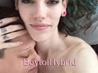 BoytoiHybrid