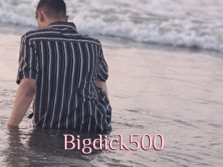 Bigdick500