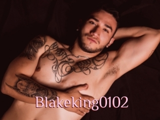 Blakeking0102