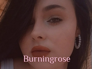 Burningrose