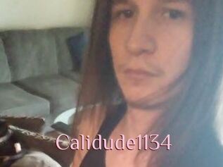 Calidude1134