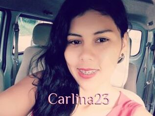 Carlina23