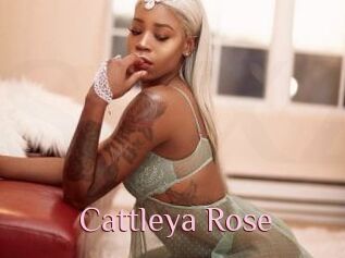 Cattleya_Rose