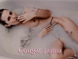 Cougar_puma