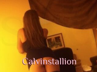 Calvinstallion