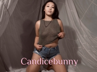 Candicebunny