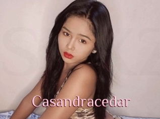 Casandracedar