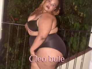 Cleo_bule