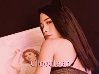 Cloeclean