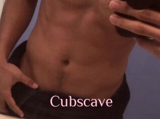 Cubscave