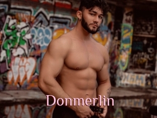 Donmerlin