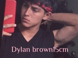 Dylan_brown15cm