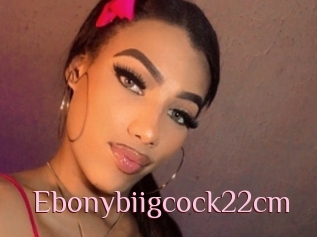 Ebonybiigcock22cm