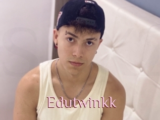 Edutwinkk