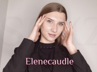 Elenecaudle