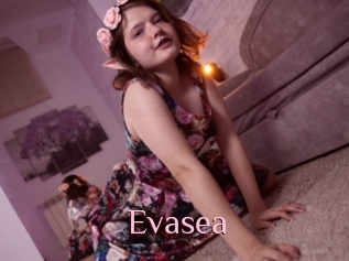 Evasea