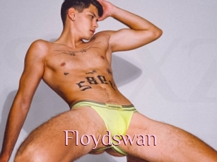 Floydswan