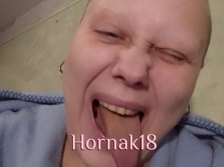 Hornak18