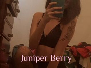 Juniper_Berry