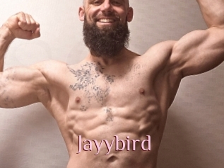 Jayybird