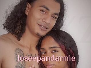 Joseepandannie