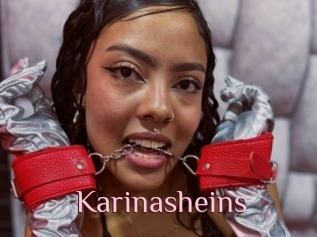 Karinasheins