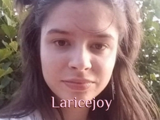 Laricejoy