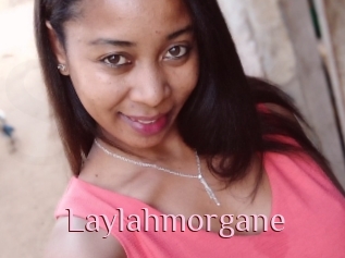 Laylahmorgane