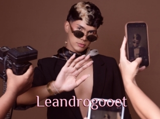 Leandrogooet