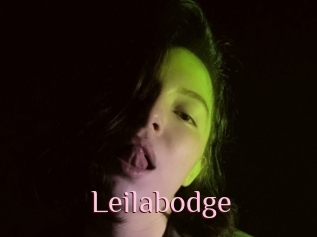 Leilabodge