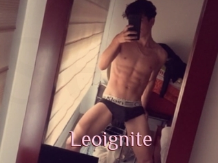 Leoignite