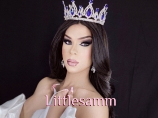 Littlesamm