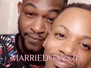 MARRIEDGAYS213