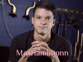 MaxHamintonn