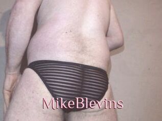 Mike_Blevins