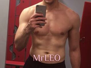 MrLEO