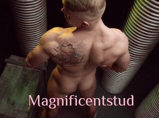 Magnificentstud