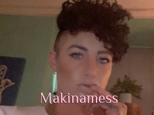 Makinamess