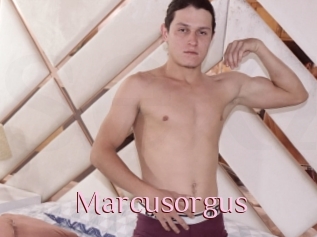 Marcusorgus