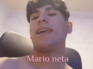 Mario_neta