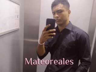 Mateoreales