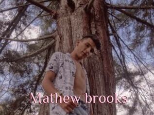 Mathew_brooks