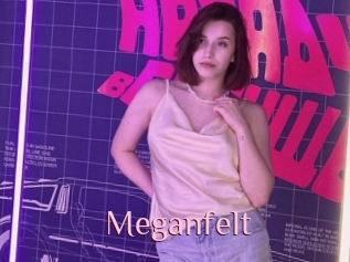 Meganfelt