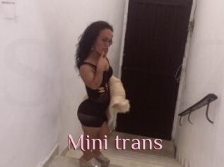 Mini_trans